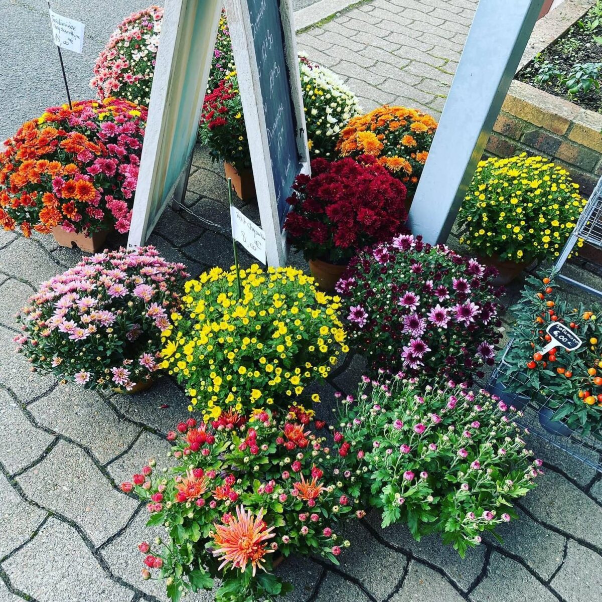 Florilys Fleuriste Blois Composition Florale 13