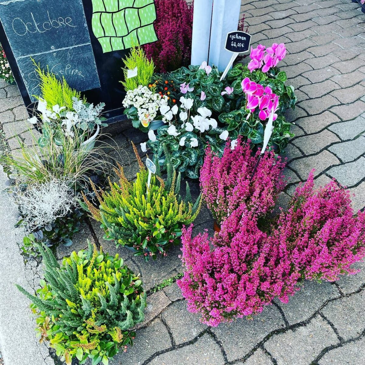 Florilys Fleuriste Blois Composition Florale 14