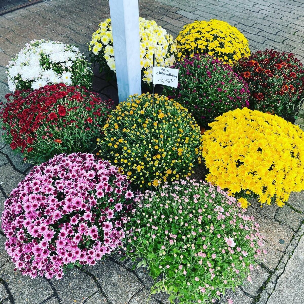 Florilys Fleuriste Blois Composition Florale 15