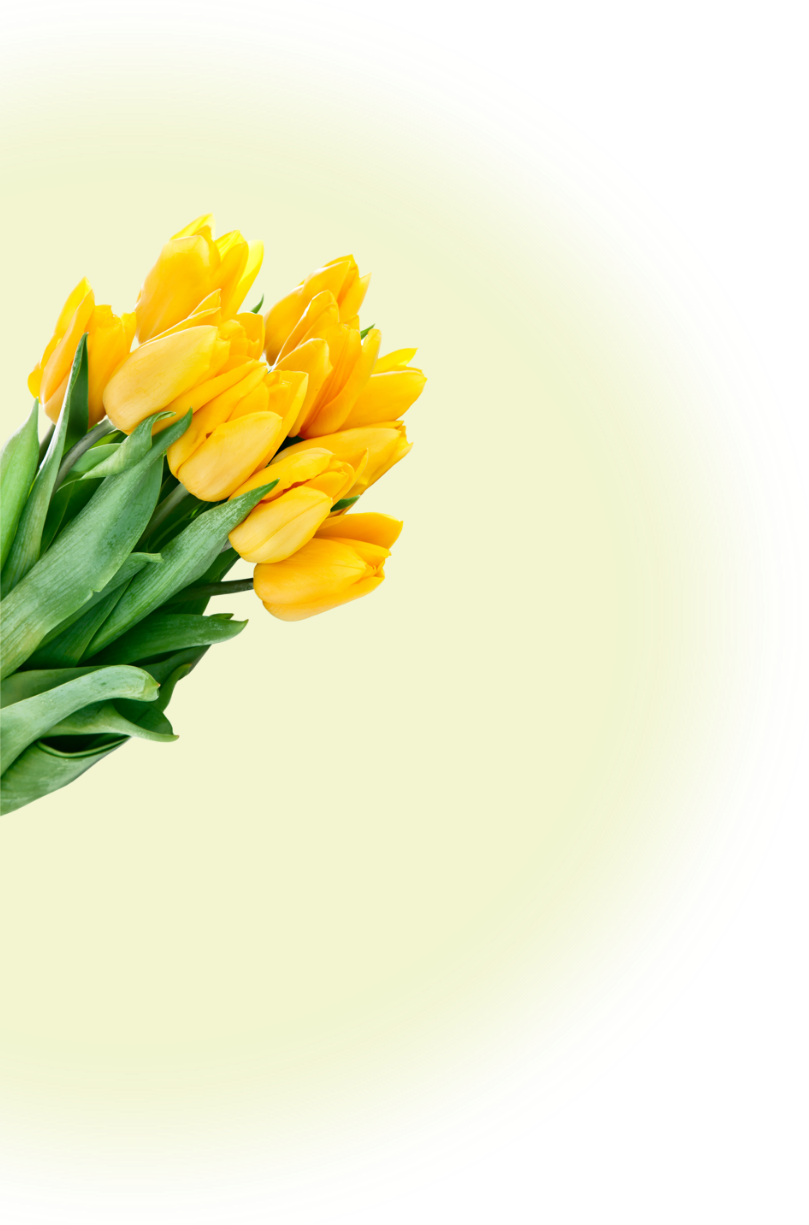 Florilys Fleuriste Blois Element6