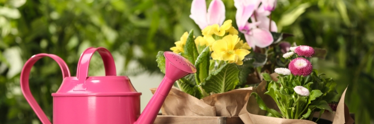 Florilys Fleuriste Blois Florilys Fleuriste Blois Gage De Professionnalisme Nous Privilegions La Qualite Et La Fraicheur Des Fleurs Que Nous Utilisons 1